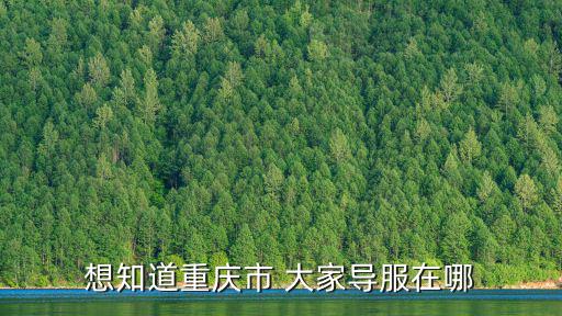 想知道重慶市 大家導(dǎo)服在哪
