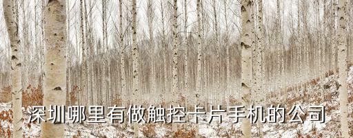 深圳哪里有做觸控卡片手機(jī)的公司