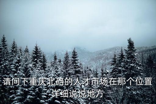 請問下重慶北碚的人才市場在那個位置詳細說說地方