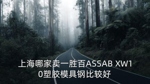 上海市百恩博有限公司，上海哪家賣一勝百ASSAB XW10塑膠模具鋼比較好