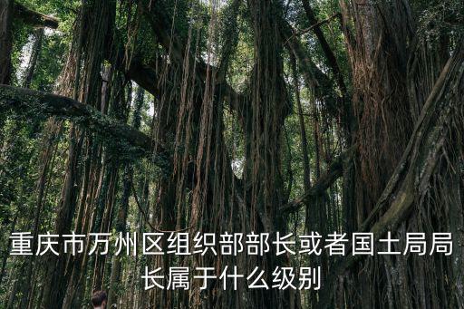 重慶市萬州區組織部部長或者國土局局長屬于什么級別
