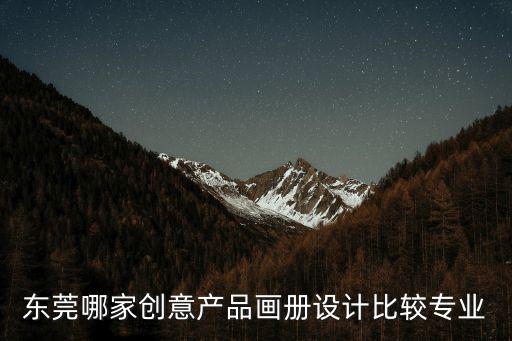 東莞哪家創意產品畫冊設計比較專業