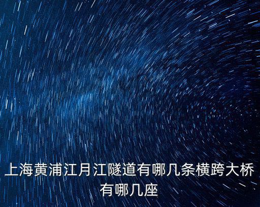 上海黃浦江月江隧道有哪幾條橫跨大橋有哪幾座