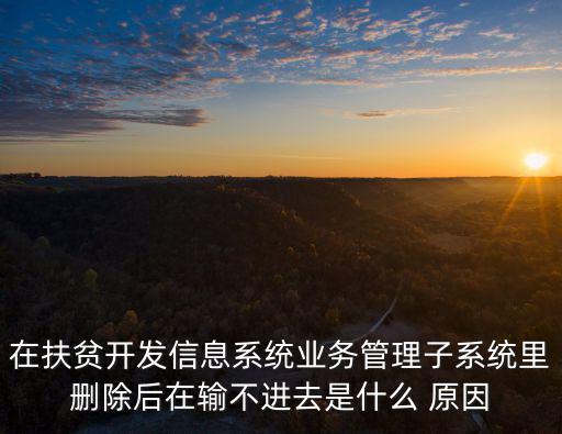 在扶貧開發信息系統業務管理子系統里刪除后在輸不進去是什么 原因