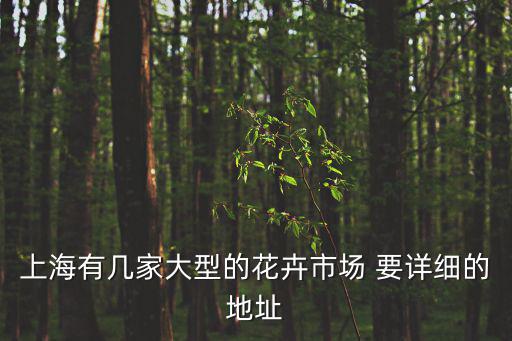 上海市最大的鮮花市場，上海最大的花卉批發市場在哪