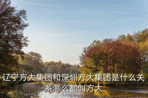 遼寧方大集團(tuán)和深圳方大集團(tuán)是什么關(guān)系怎么都叫方大