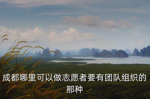 成都哪里可以做志愿者要有團隊組織的那種