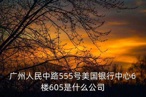 廣州人民中路555號(hào)美國(guó)銀行中心6樓605是什么公司
