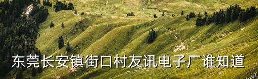 東莞長安鎮街口村友訊電子廠誰知道