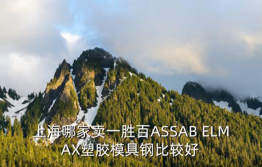 上海哪家賣一勝百ASSAB ELMAX塑膠模具鋼比較好