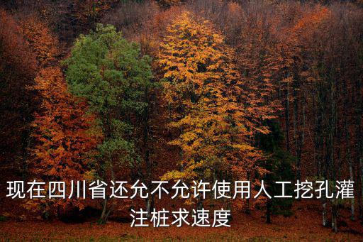 現(xiàn)在四川省還允不允許使用人工挖孔灌注樁求速度