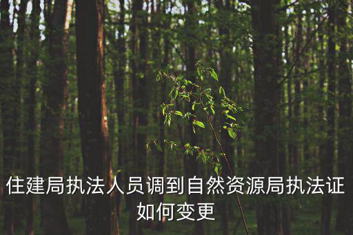 住建局執法人員調到自然資源局執法證如何變更