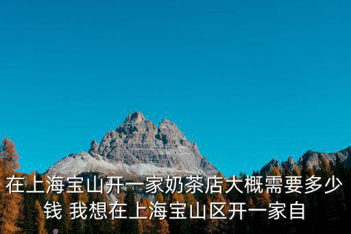 在上海寶山開一家奶茶店大概需要多少錢 我想在上海寶山區開一家自