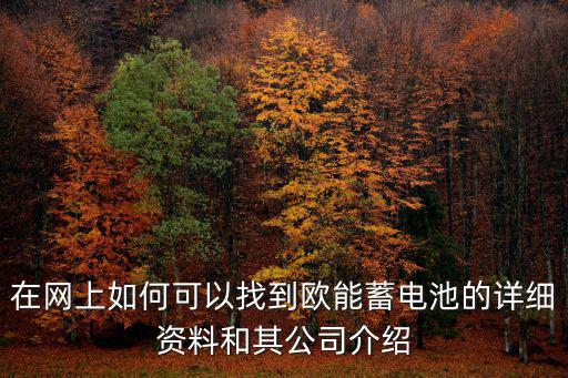 在網上如何可以找到歐能蓄電池的詳細資料和其公司介紹