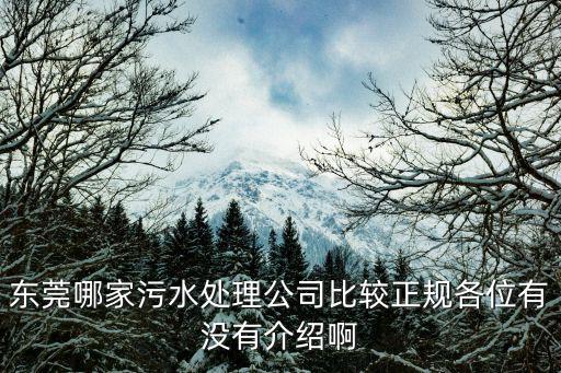 東莞哪家污水處理公司比較正規(guī)各位有沒有介紹啊