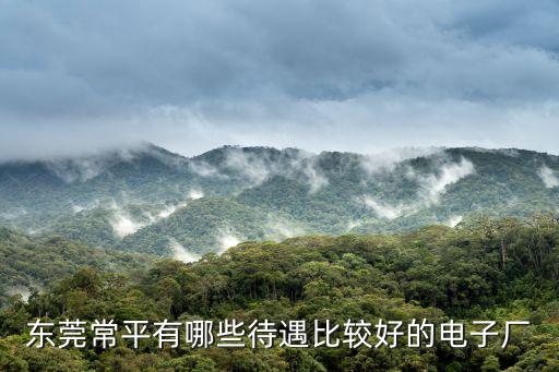 東莞常平有哪些待遇比較好的電子廠
