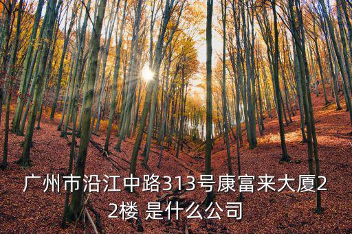 廣州市沿江中路313號(hào)康富來(lái)大廈22樓 是什么公司
