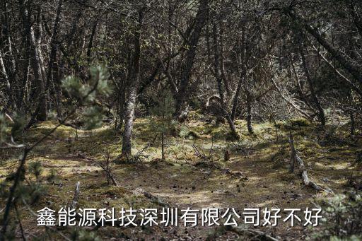 鑫能源科技深圳有限公司好不好