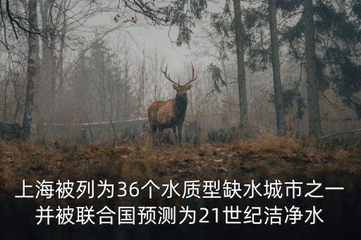 上海被列為36個水質(zhì)型缺水城市之一并被聯(lián)合國預(yù)測為21世紀潔凈水