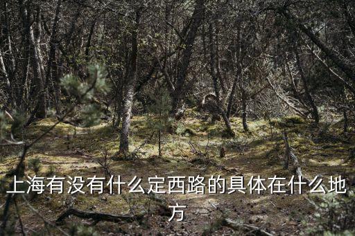 上海市定西路屬于哪個街道，定西路屬于哪個區(qū)的