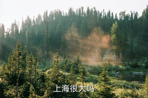 上海很大嗎