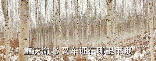 重慶市叉車證年審，我在重慶辦的外地的叉車證年審的時候能審回重慶嗎