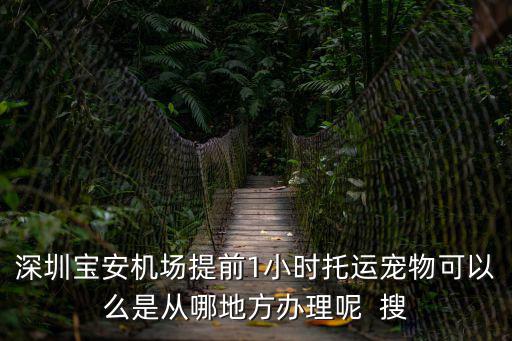 深圳寶安機場提前1小時托運寵物可以么是從哪地方辦理呢  搜