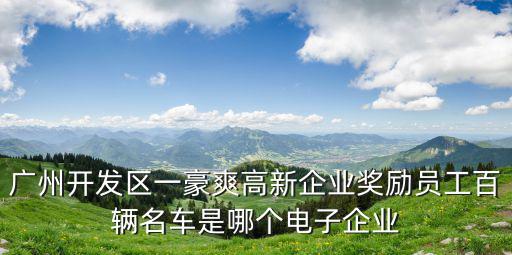 廣州開發區一豪爽高新企業獎勵員工百輛名車是哪個電子企業