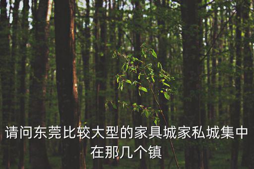 廣州東莞羽豐家具，在廣州東莞租一室一廳一廚房的房子一月大概多少錢