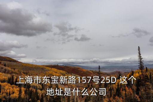 上海市東寶新路157號25D 這個地址是什么公司