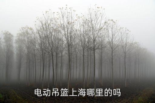 電動吊籃上海哪里的嗎