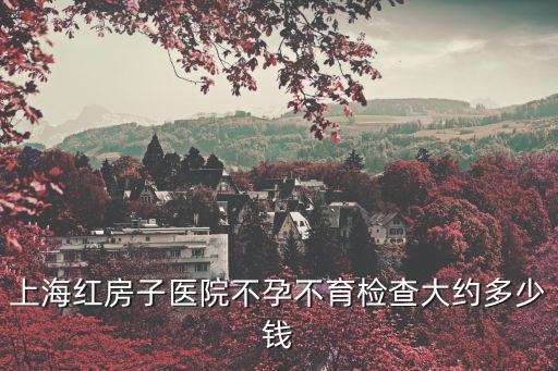 上海紅房子醫(yī)院不孕不育檢查大約多少錢(qián)