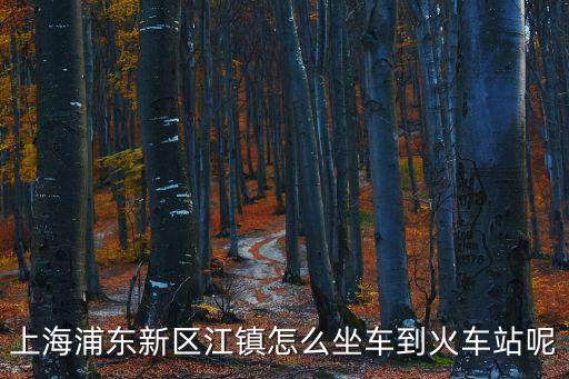 上海浦東新區江鎮怎么坐車到火車站呢