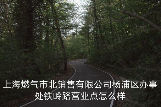 上海燃氣市北銷售有限公司楊浦區辦事處鐵嶺路營業點怎么樣