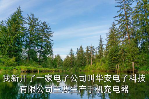 我新開了一家電子公司叫華安電子科技有限公司主要生產手機充電器