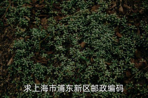 求上海市浦東新區郵政編碼