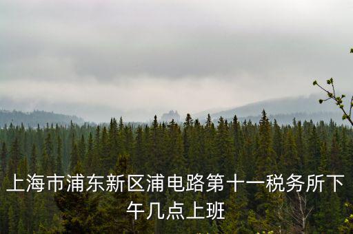 上海市浦東新區(qū)浦電路第十一稅務(wù)所下午幾點(diǎn)上班