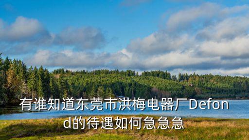 有誰知道東莞市洪梅電器廠Defond的待遇如何急急急