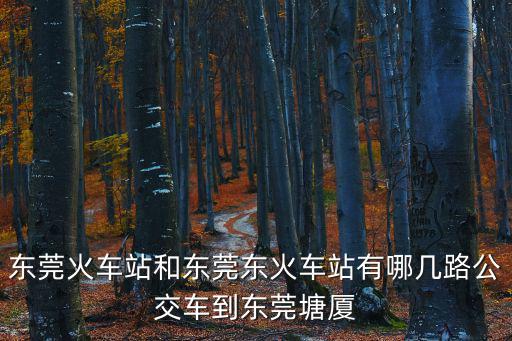 東莞火車站和東莞東火車站有哪幾路公交車到東莞塘廈