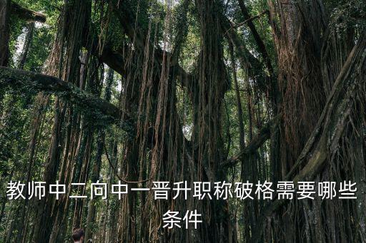 重慶市教育系統評審破格條件，申報評審人員所學專業與參評專業不同的按學歷破格進行申報評審