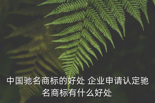 中國馳名商標的好處 企業申請認定馳名商標有什么好處