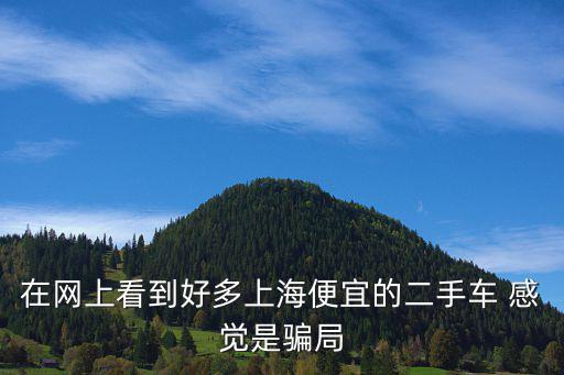 在網上看到好多上海便宜的二手車 感覺是騙局