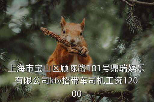 上海市寶山區顧陳路181號鼎瑞娛樂有限公司ktv招帶車司機工資12000