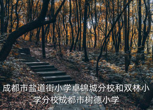 成都市鹽道街小學卓錦官網，抗震小英雄林浩現就讀學校