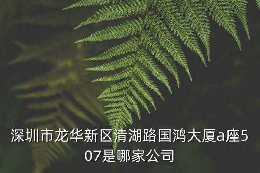 深圳市龍華新區(qū)清湖路國鴻大廈a座507是哪家公司