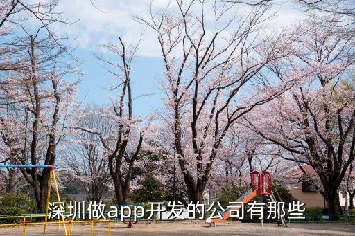深圳做app開發的公司有那些