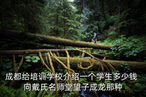 成都給培訓學校介紹一個學生多少錢 向戴氏名師堂望子成龍那種