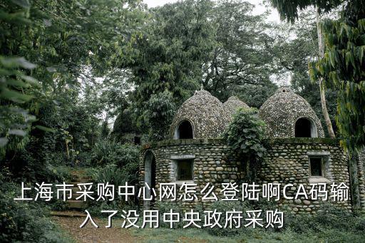 上海市采購中心網(wǎng)怎么登陸啊CA碼輸入了沒用中央政府采購