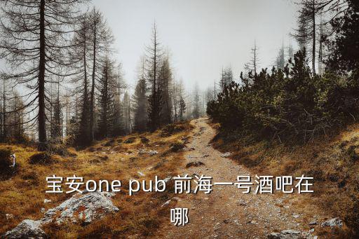 寶安one pub 前海一號酒吧在哪