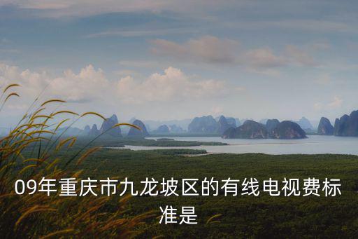 09年重慶市九龍坡區的有線電視費標準是